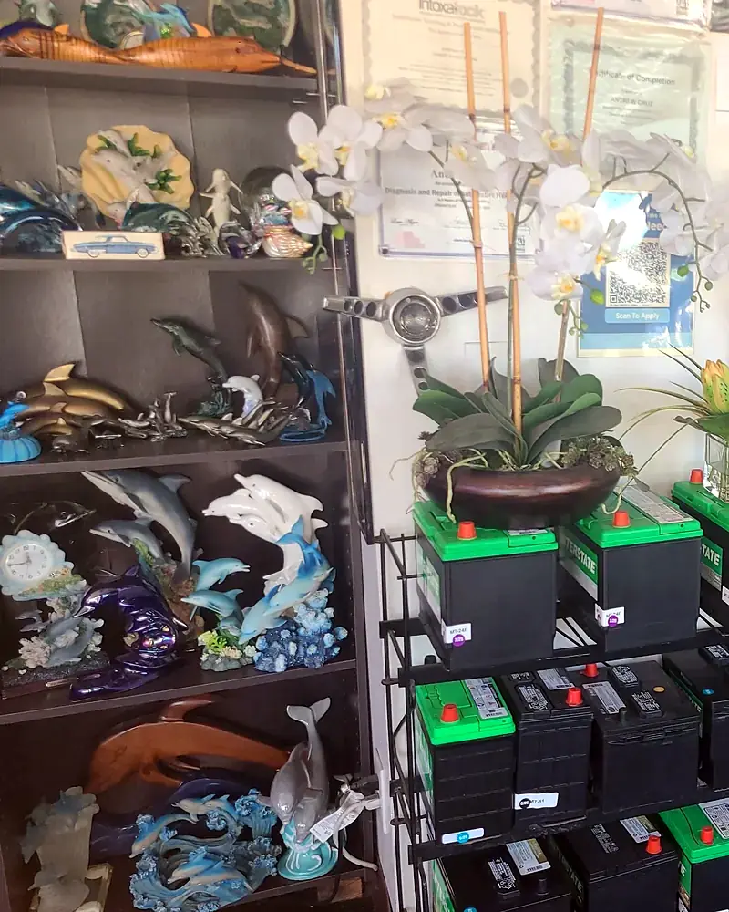 Shelves of carved and ceramic dolphin figures in the front office