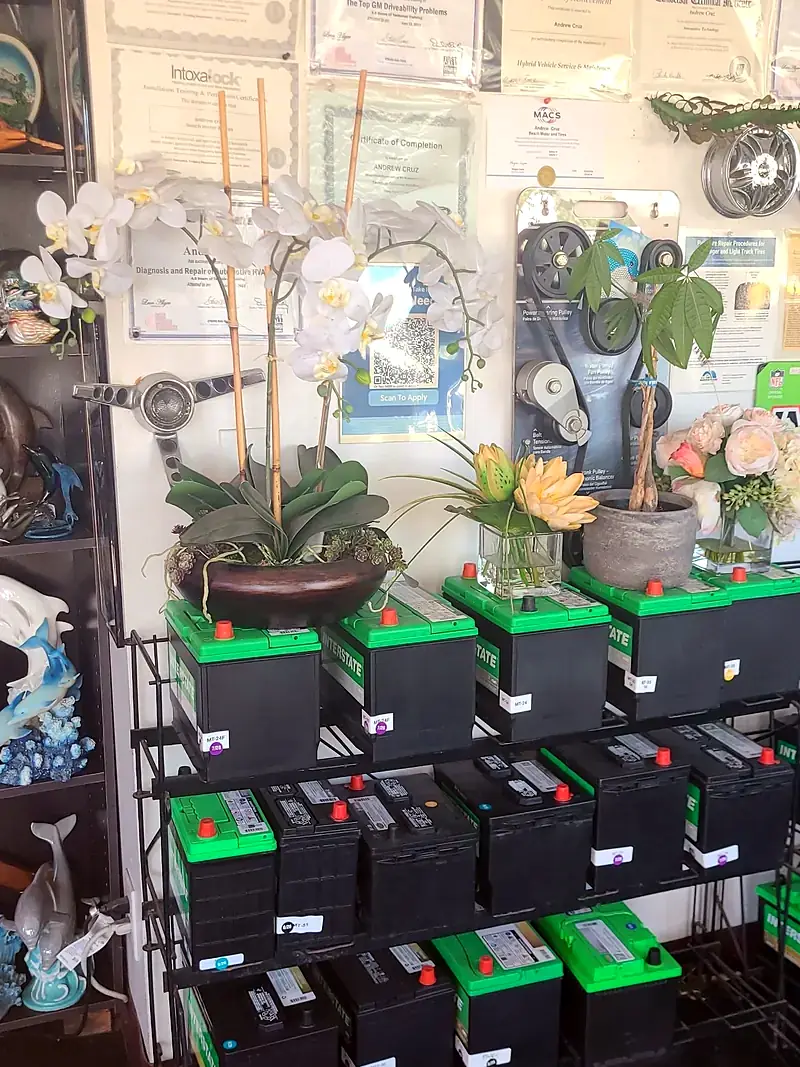 The dolphin shelves beside the Interstate battery rack in the front office