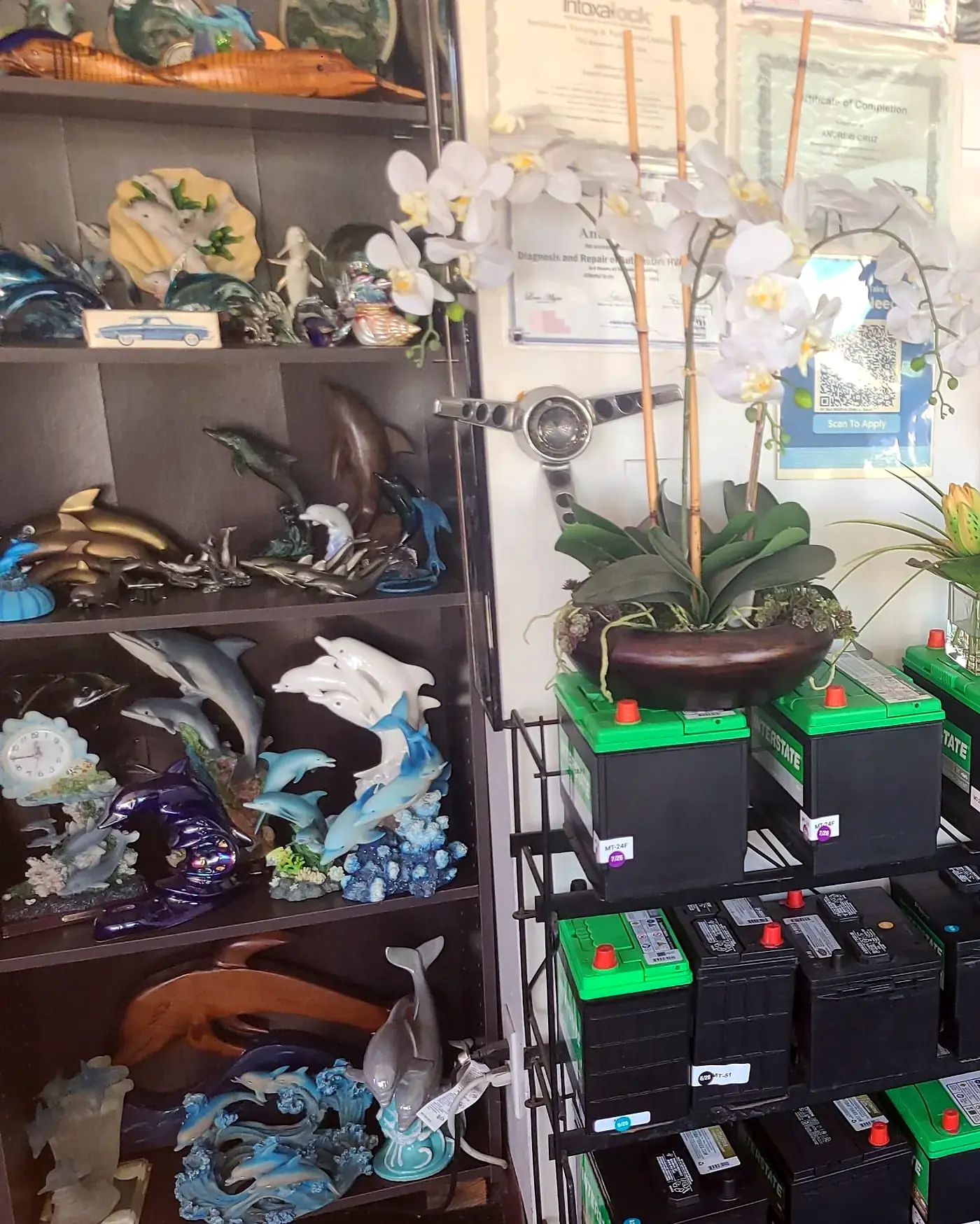 Shelves of carved and ceramic dolphin figures in the front office, beside the Interstate battery rack