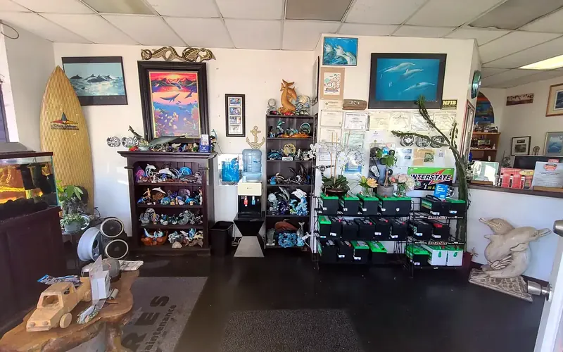 The front office at Beach Motor & Tires with the dolphin collection, the fish tank and the battery rack